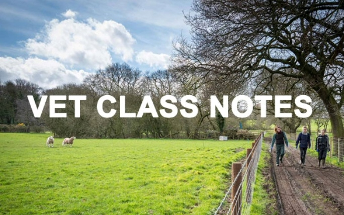 Scene of a sunny field, with three people walking down a mud path to the right. White text overlays the image and reads 