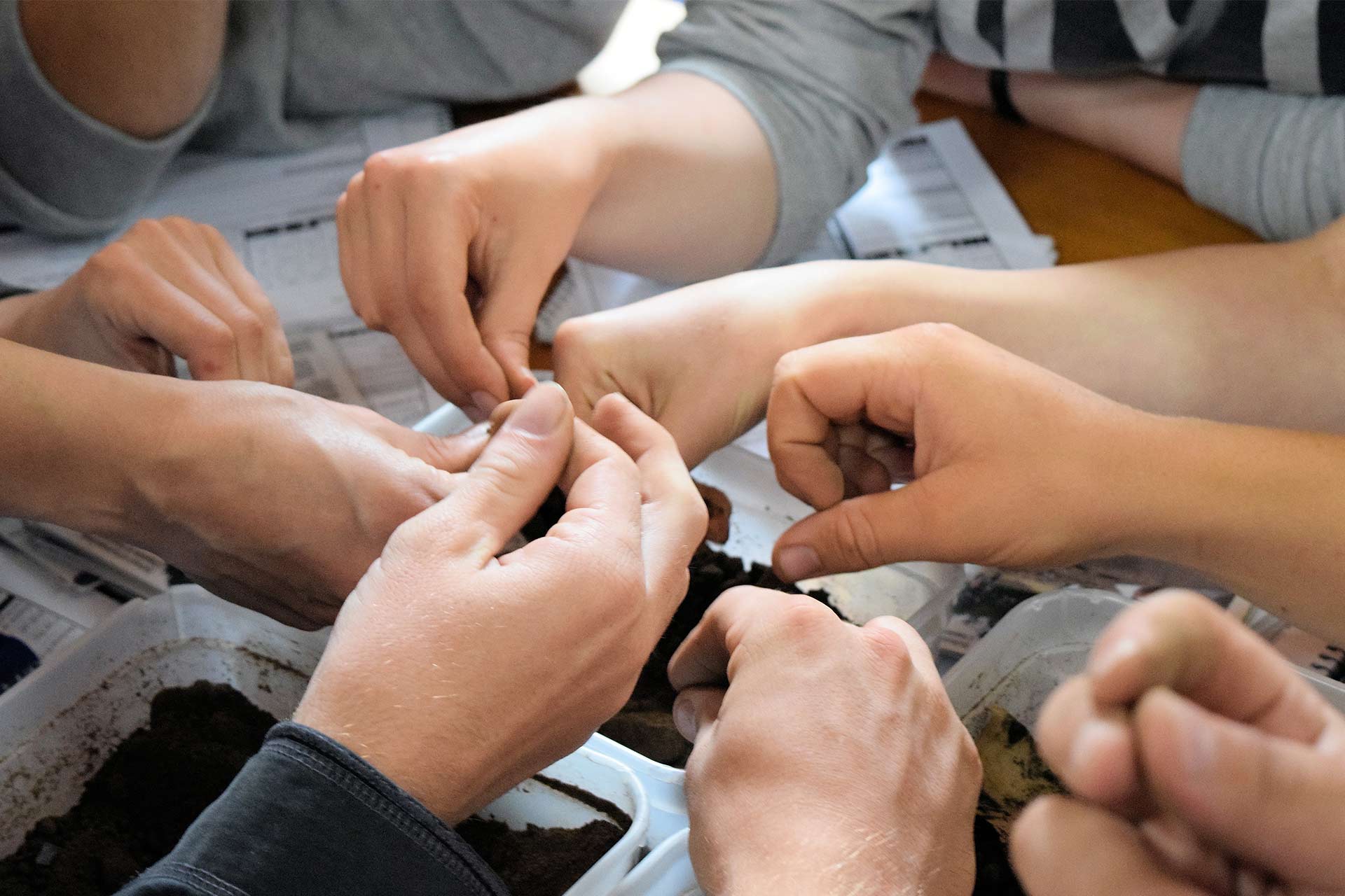 A group of hands together feeling and examining a tupperware of sandy soily archeological material.