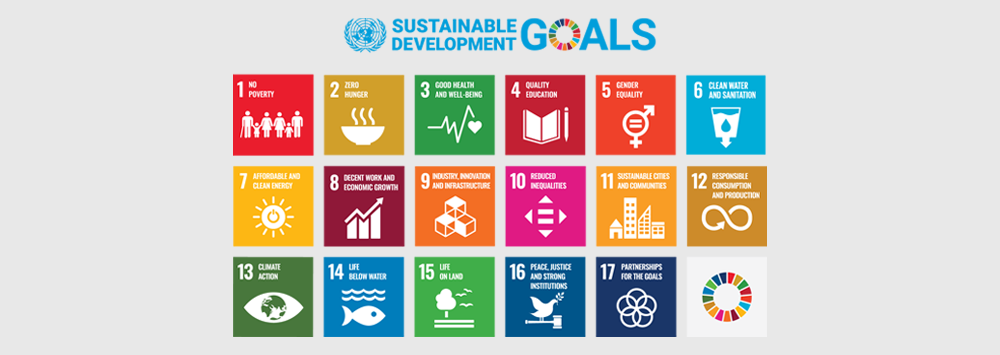 Sustainable Development Goals