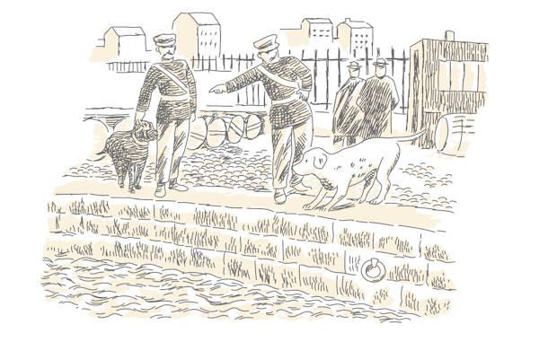 Illustration of dogs at a river