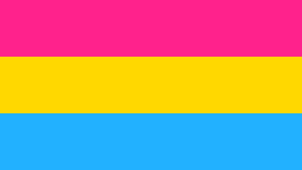 Flag Pansexual