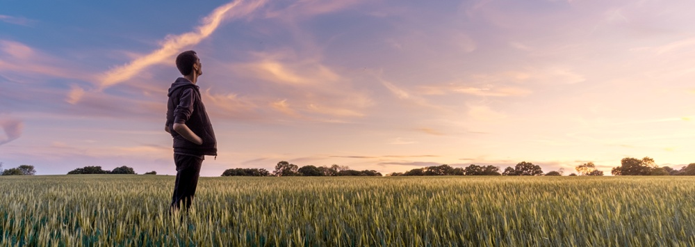 A student standing in a field, watching the sunset