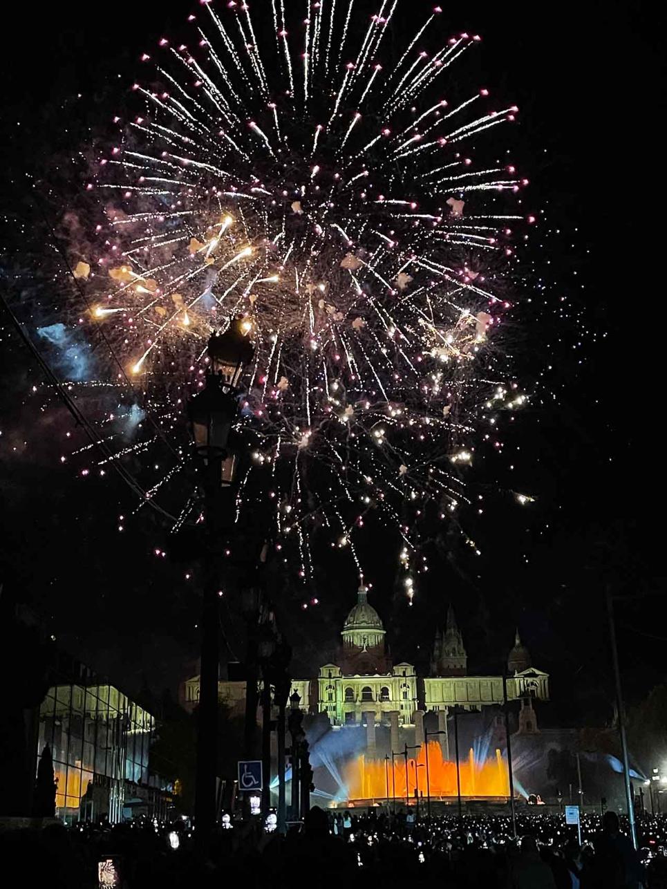 A view of a firework display in Spain