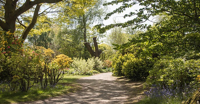 Ness Botanic Gardens 