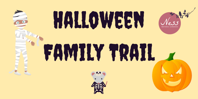 Halloween family trail