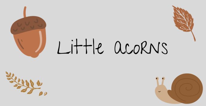 Little acorns banner 1