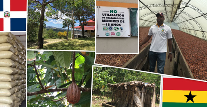 Collage of images relating to the cocoa industry