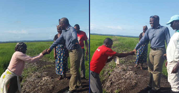 The Baixo Limpopo Irrigation and Climate Resilience Project - Farmers