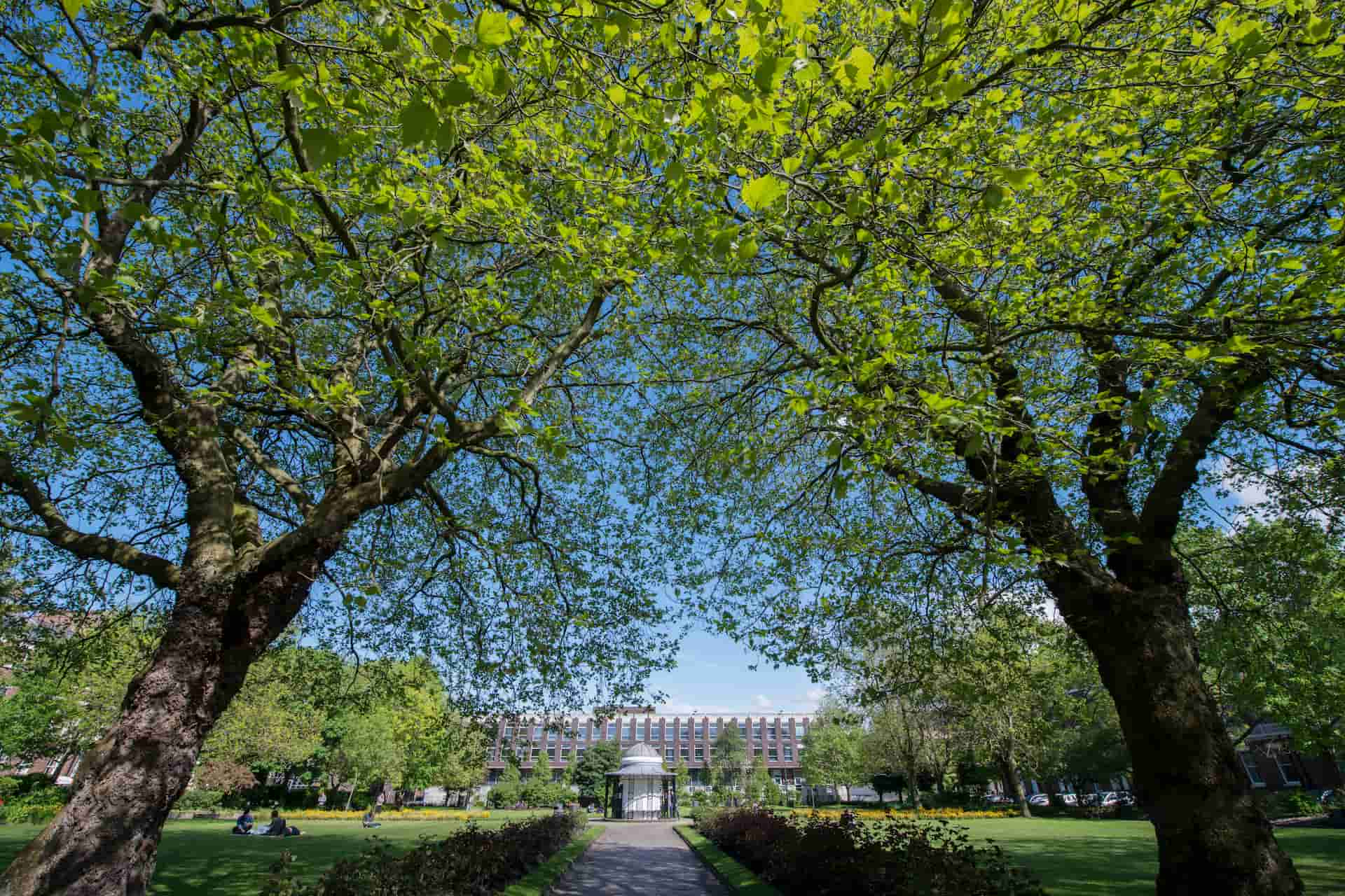 Abercromby Square